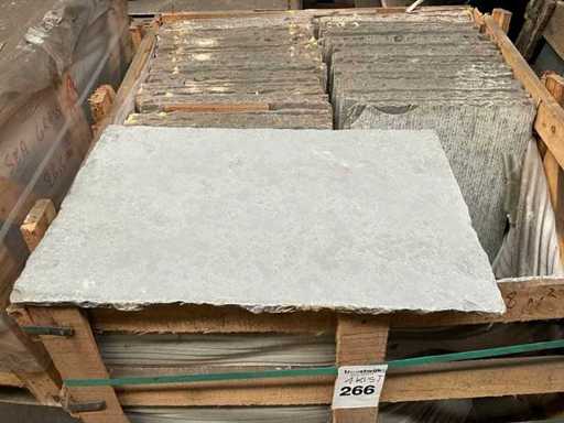 Indian Grey Natural Stone Garden Tile