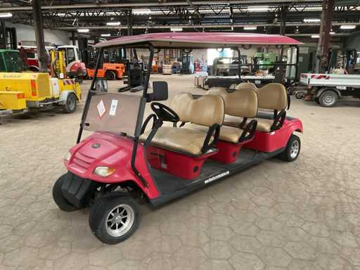 Moto Electric Vehicles Golf Cart