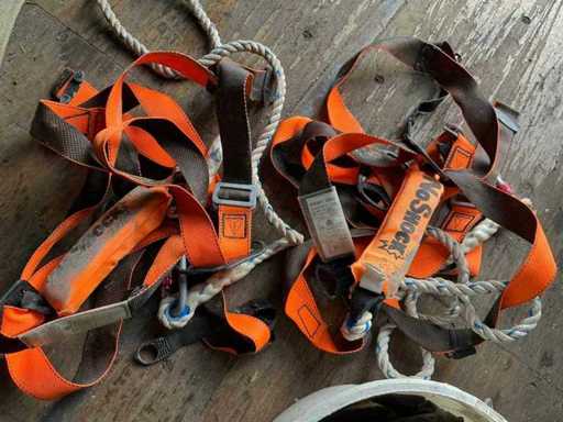 DeltaPlus Elara 160 Fall Harness (2x)