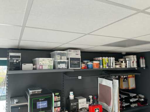 Content of the statement