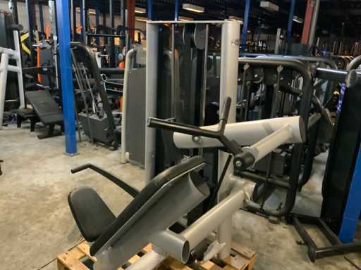 Palestra 80 signum pullover Multi-palestra