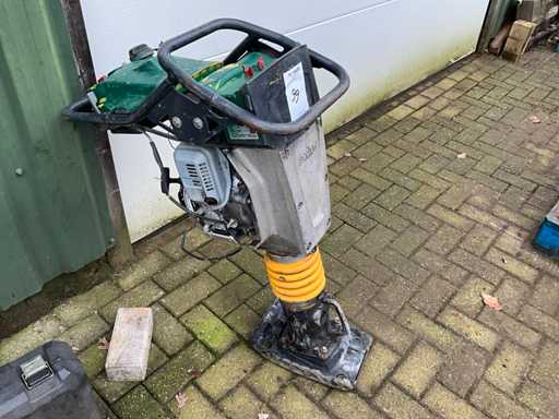 2019 Bomag BT60 Vibrationsrammer