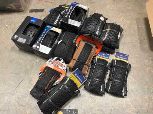 Lot Michelin / Schwalbe / Smaxxis Reifen (12x)