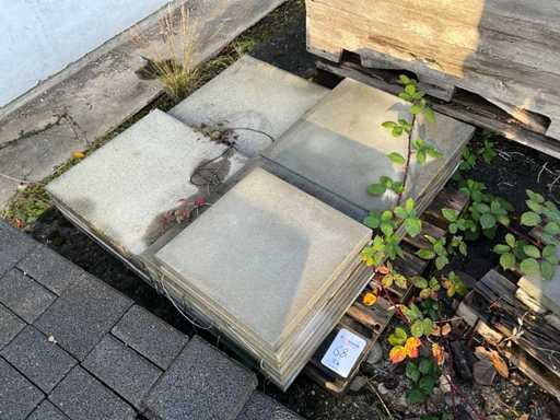 Pl?ci de gr?din? din beton pe palet (2x)