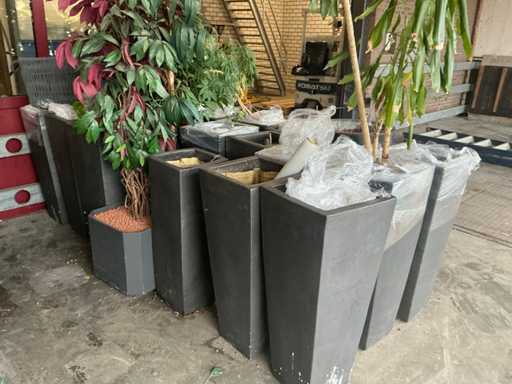 Plantenbak divers (20x)