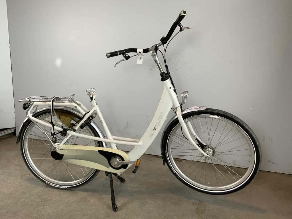 Batavus Mambo Elektrische fiets