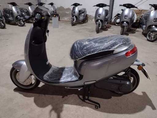 SAXXX - E-Scooter - Ecooter E1S - Scooter