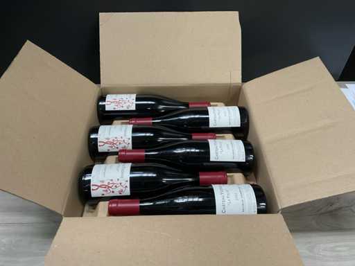 Chat. Yvonne Saumur Champigny La Folie 2022 (6x)