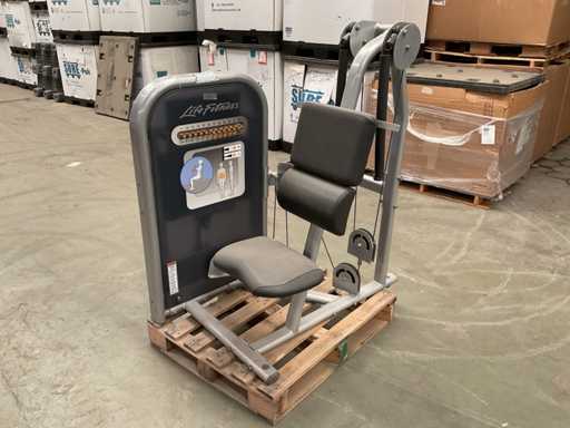 Life Fitness Ab Crunch