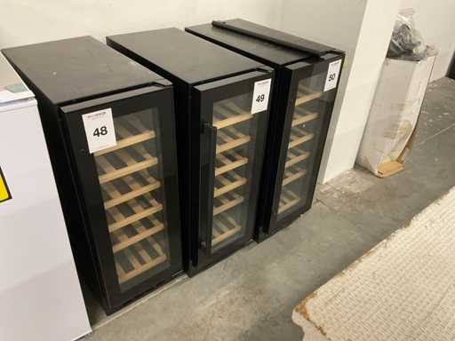 Hananto Wijnklimaatkast