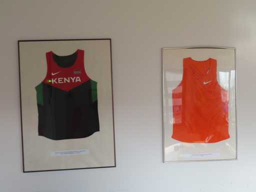 Singlet (ex Abel Kirui) (2x)