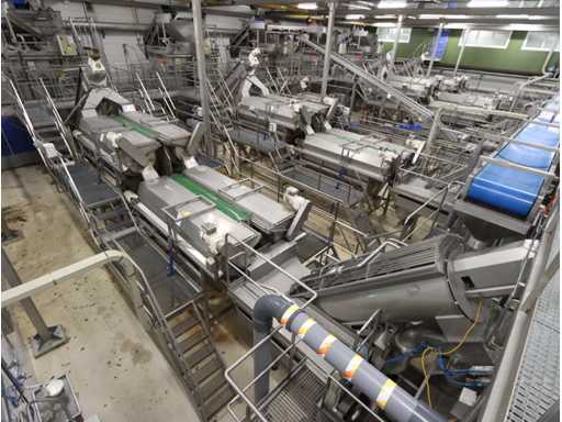 RVS aardappelschillijn