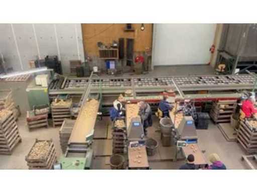 bbc75db3-758a-49a4-9760-f6509e27bbac.mp4