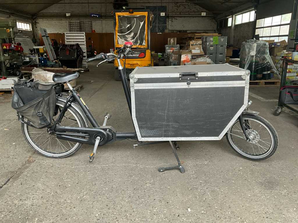 SHIMANO Electric Cargo Bike