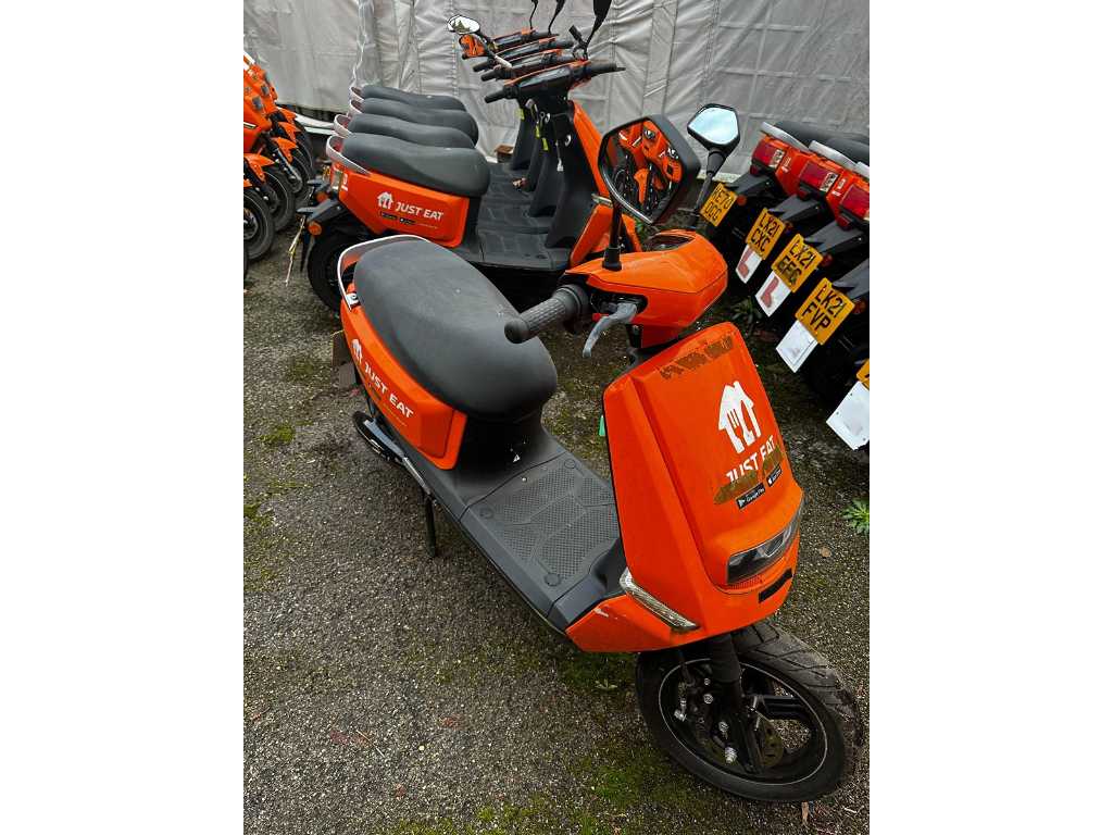 Yadea Technology Group Co Ltd L1e-B Moped
