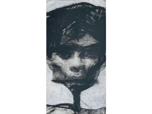 Sam Dillemans - techniques mixtes