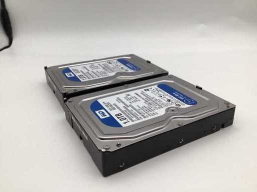 WD Blue 1TB SATA Interne hardeschijf (2x)