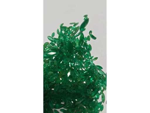 VID20260304144611.mp4