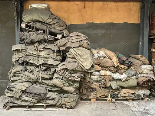 Pânz? cort de petrecere