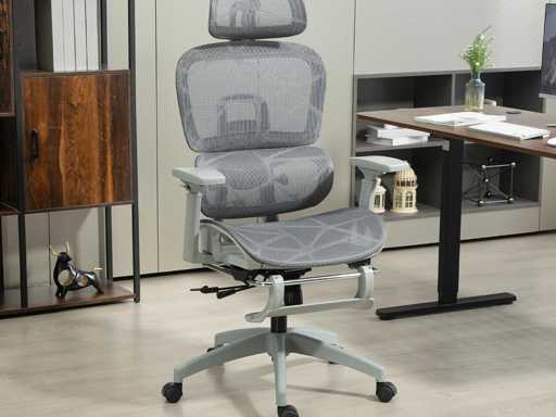 Ergonomische bureaustoel en voetsteun