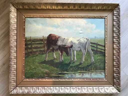 Painting Hague School calves signed 
