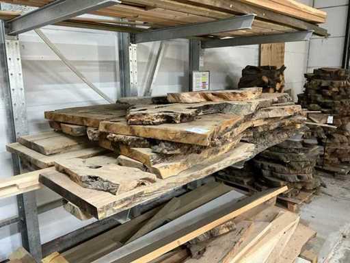 Foglia del tronco dell'albero (10x)