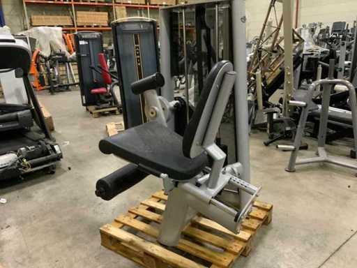 Elektrownia Gym80 Signum Leg extension