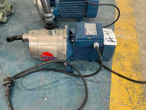 Pedrollo CPm 170-STA Stainless Steel Centrifugal Pump - Water Pump