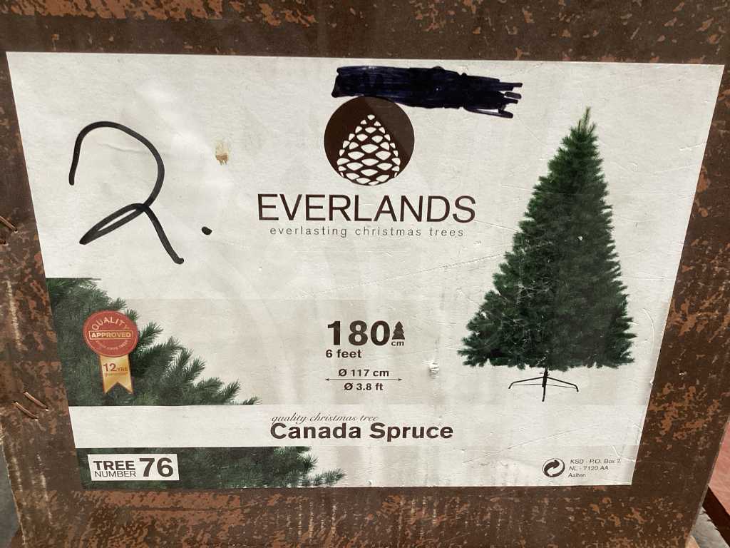 Everlands Canada bezieht Weihnachtsbaum