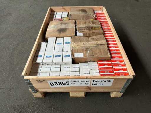 IKO/SKF – Charge von Lagern und Schmierung 161KG
