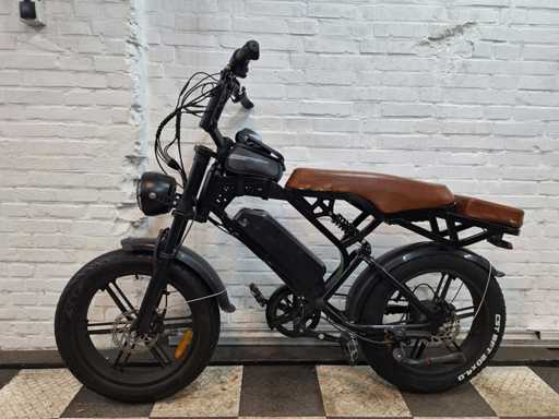Fatbike V20 Pro Electric Bike