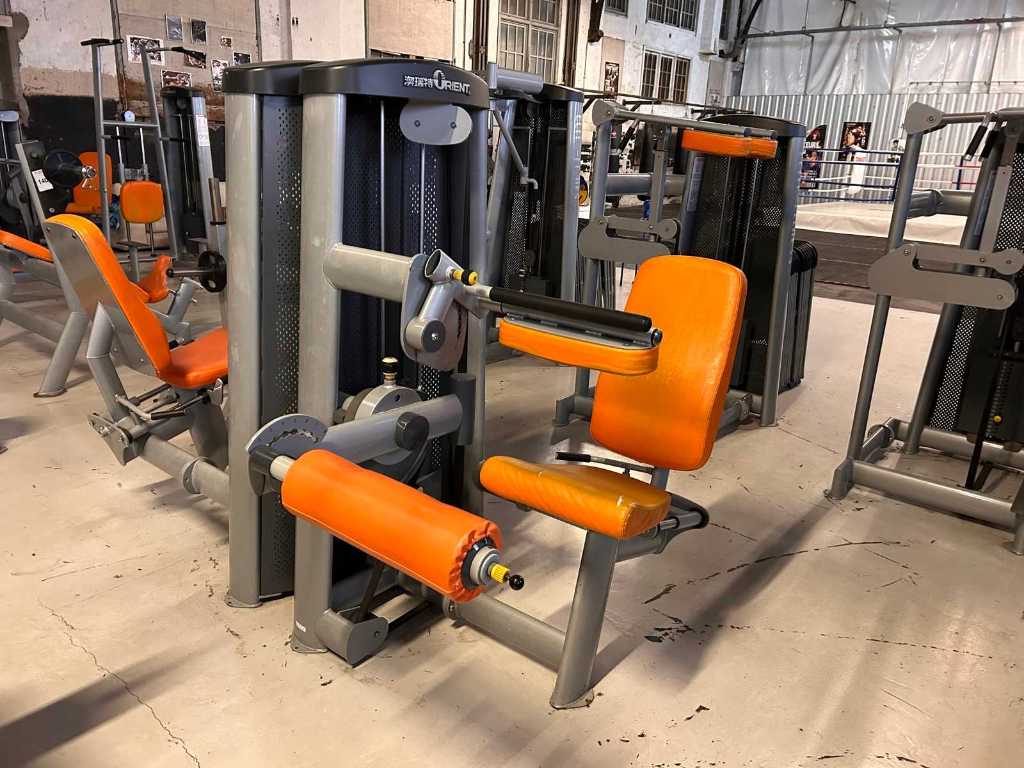 Elite Fitness - Leg Curl - Strength Machine