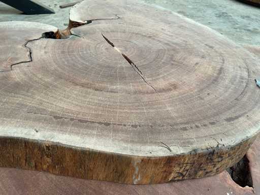 Guyana Teak houten schijf 1000mm