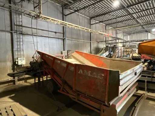 Linia cewek marchewkowa