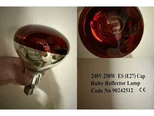 Lampes chauffantes rouges (24x)