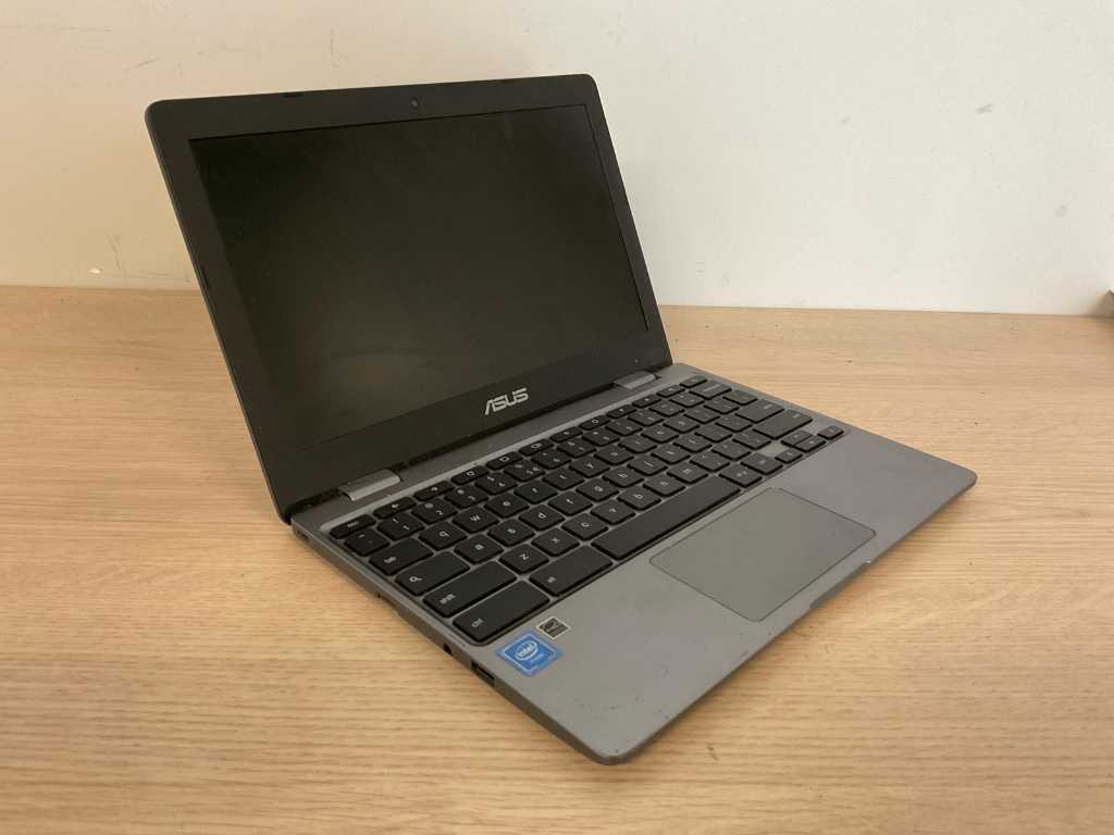 Asus Chromebook C223NA-GJ0088