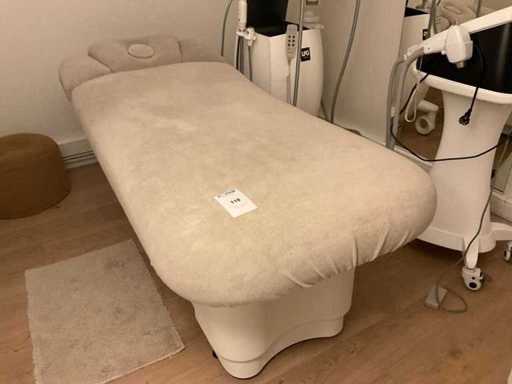 Gharieni Electric Massage Table
