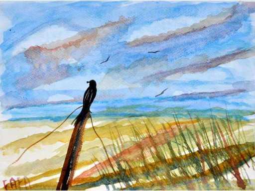 FAFA - Maritime landscape with bird - watercolor 