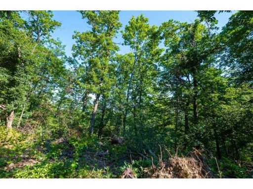 21.902 m² Mischwald in Belogradchik – Bulgarien