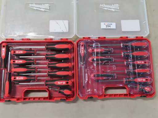 Milwaukee - Ensemble de tournevis (2x)