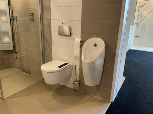 Gabinetto e orinatoio montati a parete Geberit