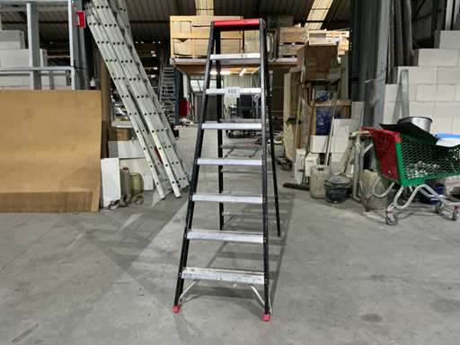 ALTREX Aluminium ladder
