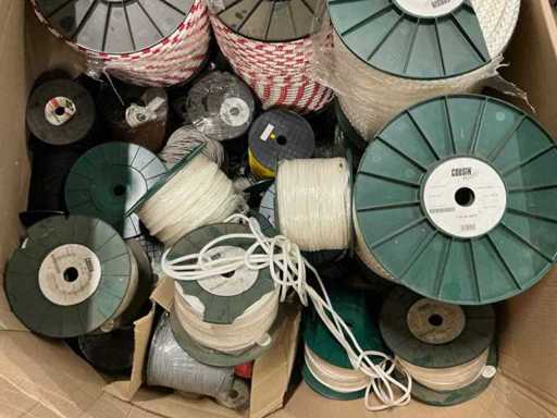 Palette : différentes lignes en polyester