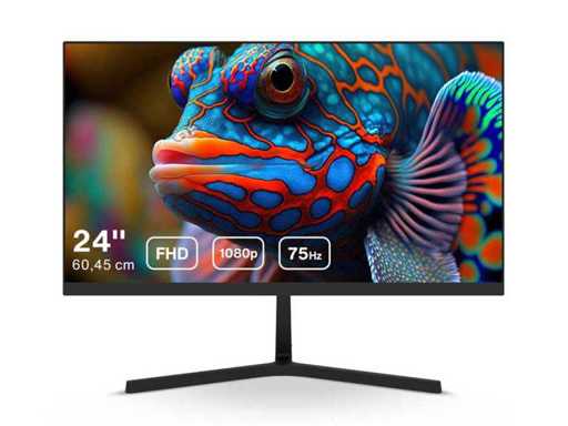 Dahua B201 24" Monitor