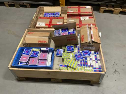 NSK zweireihiges Winkelkontaktlager (300x)