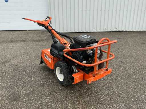 Barreto 1620 Tuinfrees