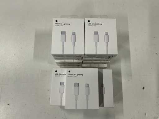 Apple USB-C-zu-Lightning-Kabel 1M (17x)