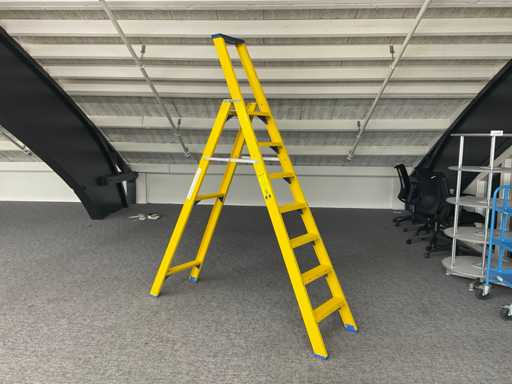 Échelle Staltor renforcée de fibre de verre
