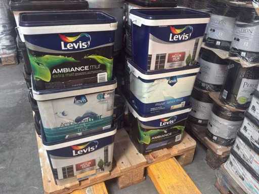 Levi's Paint (6x)