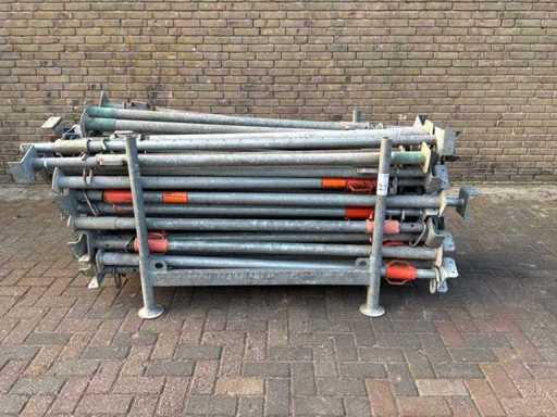 Schraubenstanz 180-300 cm (50x)
